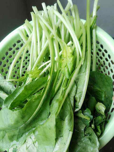 肉末烩萝卜苗步骤1