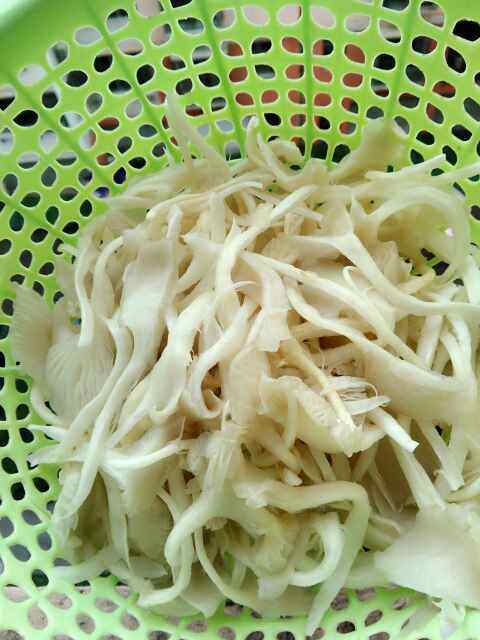 香辣手撕平菇步骤2