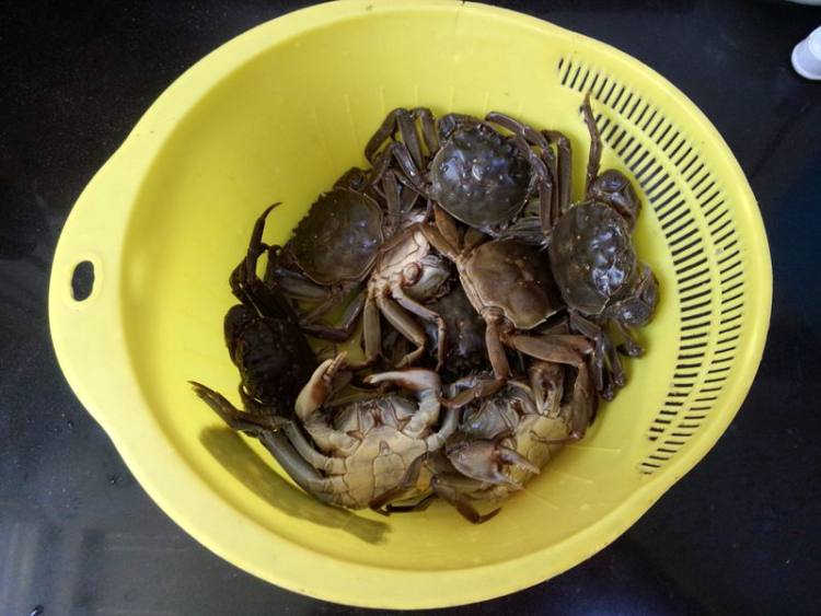 葱姜炒小毛蟹步骤1
