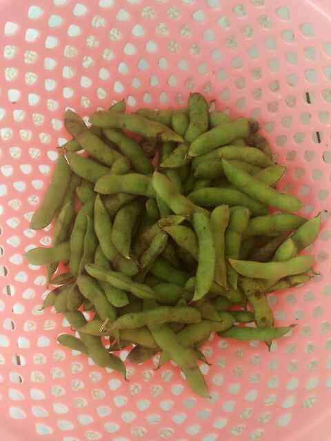 五香卤煮毛豆步骤2