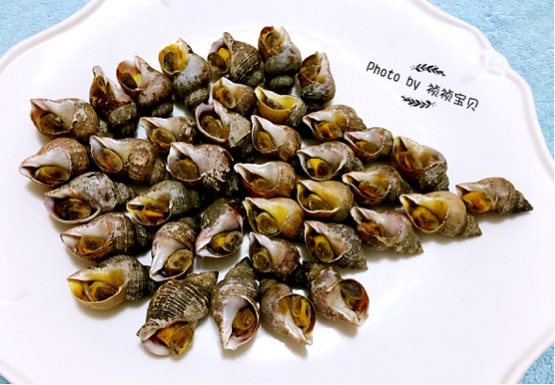 白灼香螺步骤8