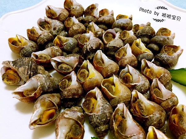 白灼香螺步骤10