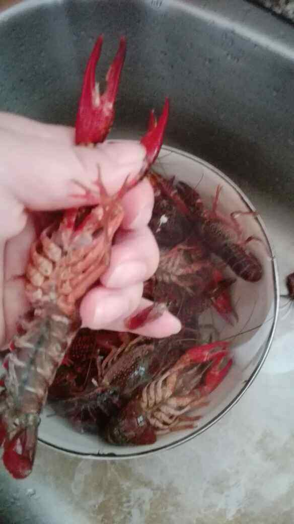 麻辣啤酒小龙虾步骤3