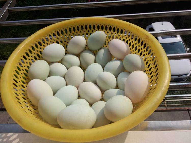 家庭版腌制咸鸭蛋步骤2