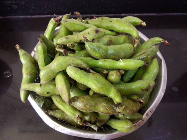 红肠炒蚕豆瓣#新鲜从步骤1