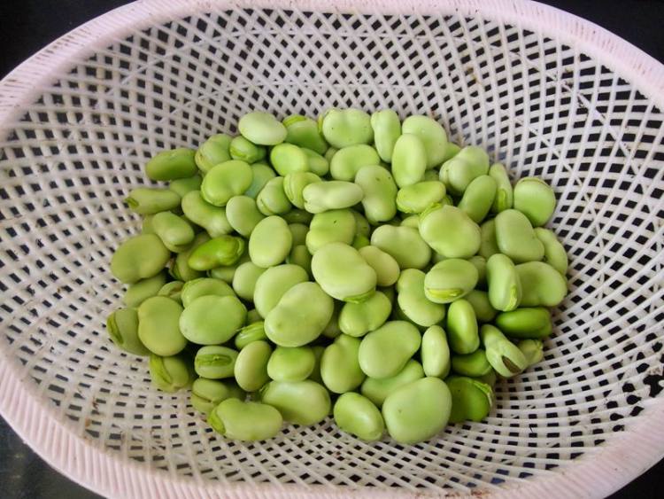 红肠炒蚕豆瓣#新鲜从步骤2