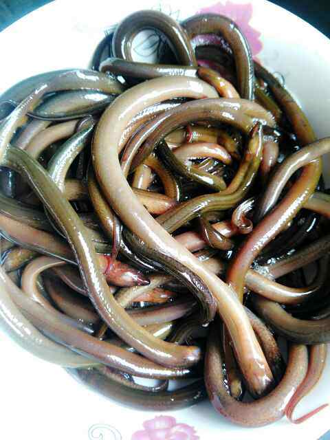 辣炒盘膳步骤2