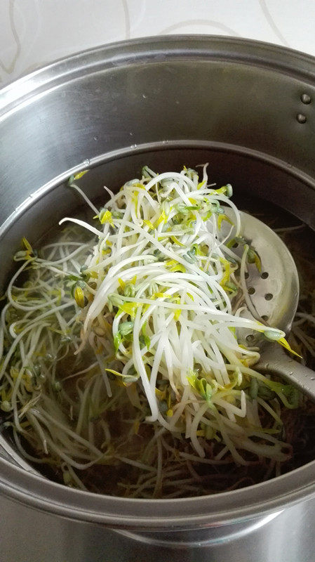 炝拌绿豆芽步骤4