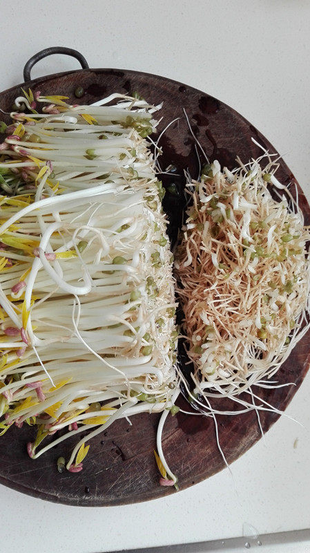 炝拌绿豆芽步骤2