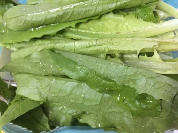 蚝油香菇扒油麦菜步骤2