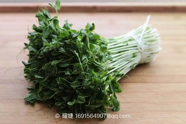 清炒豆苗步骤1