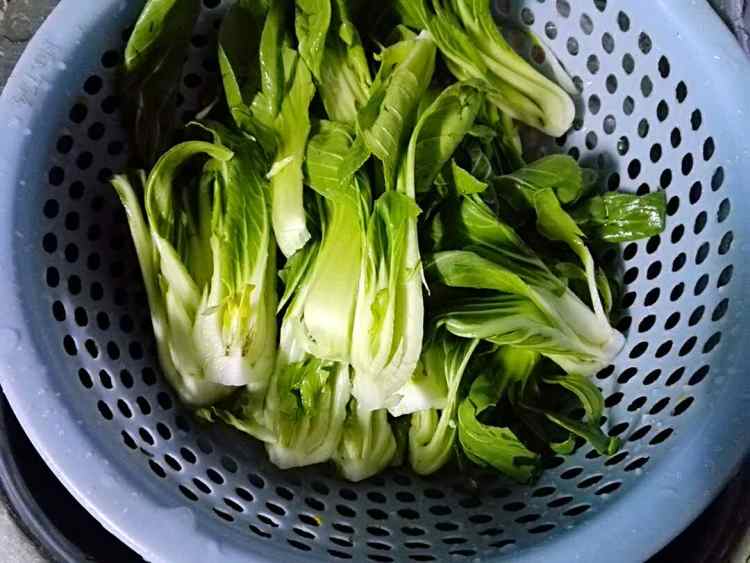 蚝油油菜步骤2