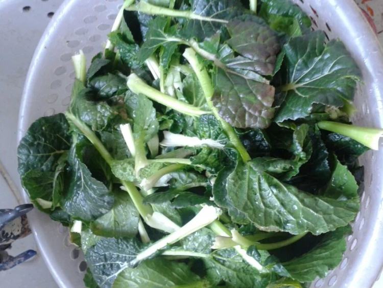 青菜粉丝步骤2