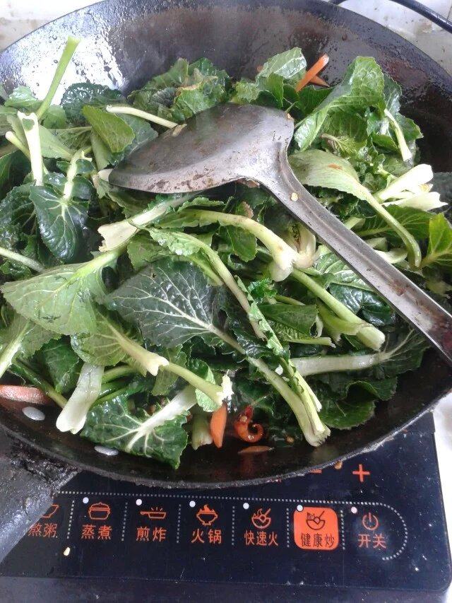 青菜粉丝步骤5