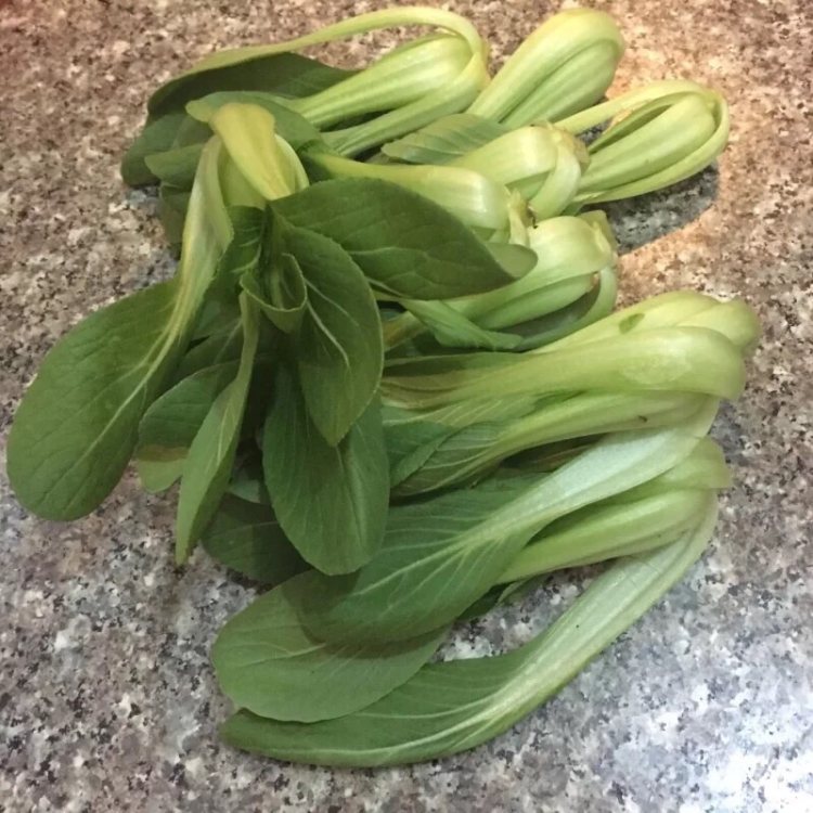 碧玉油菜步骤1