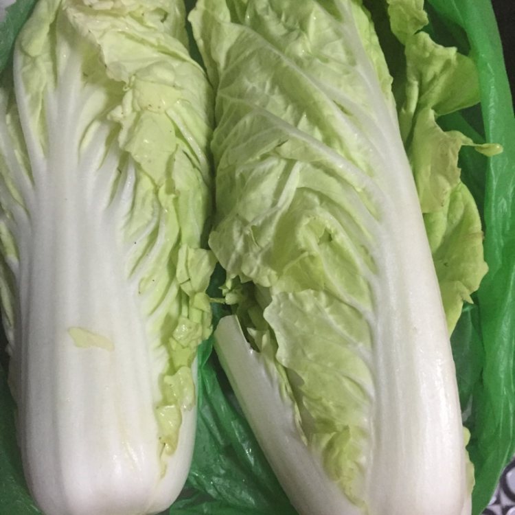 猪油炒白菜步骤1