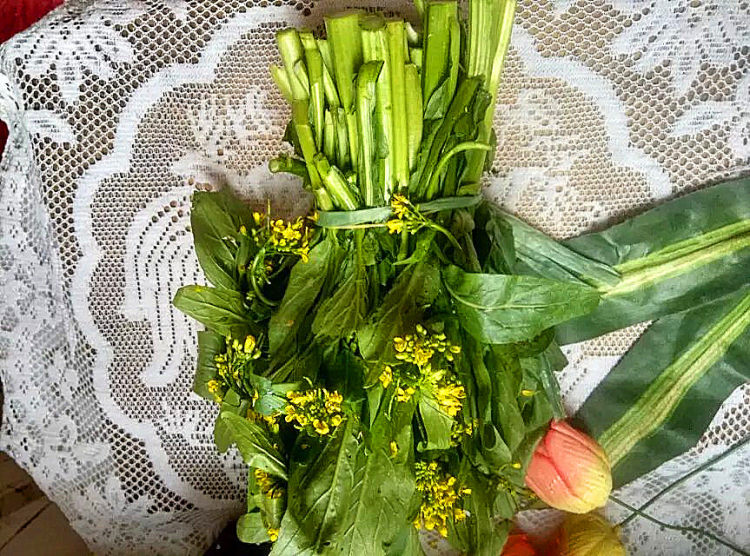 素炒小油菜步骤1