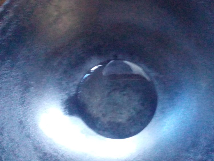 毛豆炒茭白步骤4