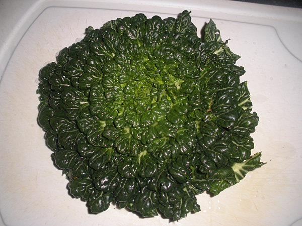 菊花菜炒豆制品步骤1