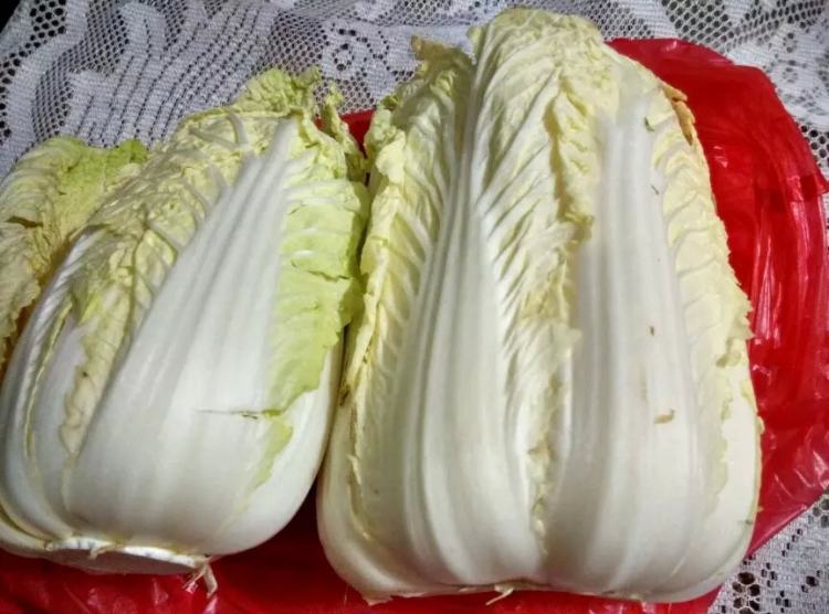 蚝油大白菜步骤1