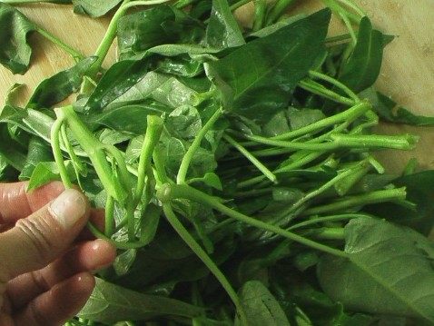 炝炒空心菜杆步骤1