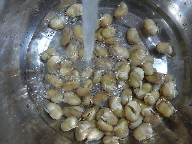 辣味蚕豆芽步骤2