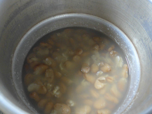 辣味蚕豆芽步骤6
