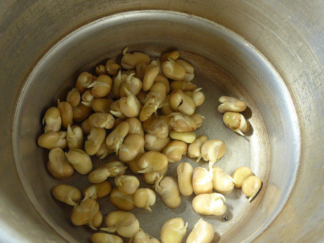 辣味蚕豆芽步骤3
