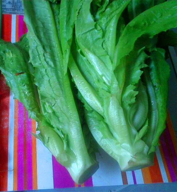 蚝油油麦菜步骤1