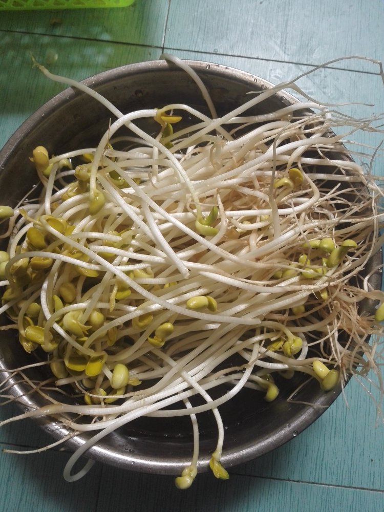 凉拌黄豆芽步骤1