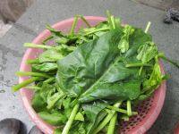 清炒菠菜步骤2