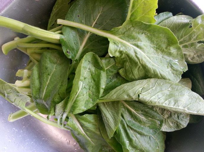 油泼油菜心步骤1