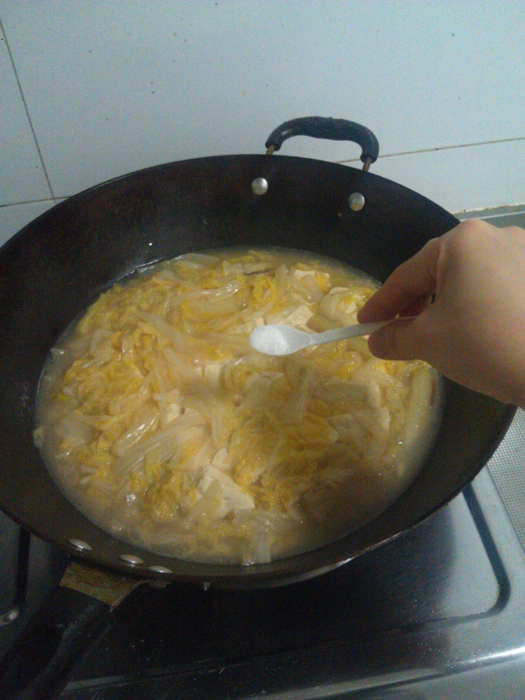 白菜炖豆腐步骤11