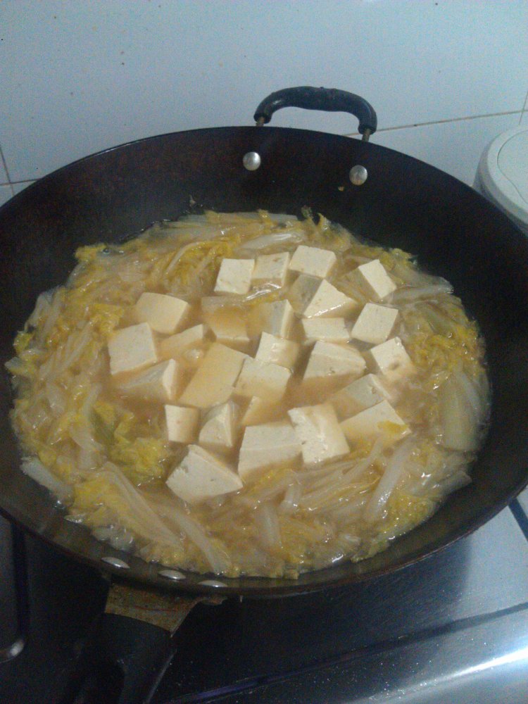 白菜炖豆腐步骤9