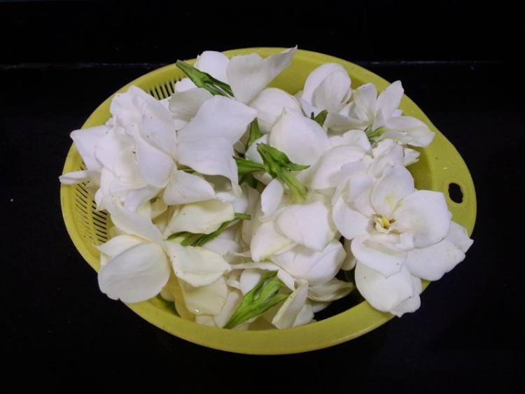 清炒栀子花步骤1