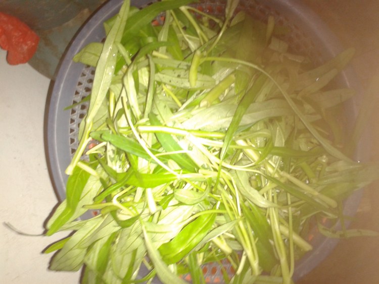 蒜蓉酱炒空心菜步骤1
