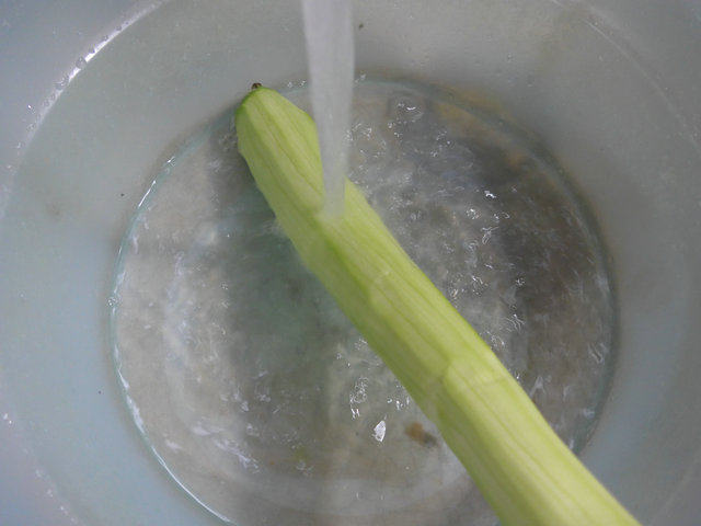夜开花炒粉条步骤2