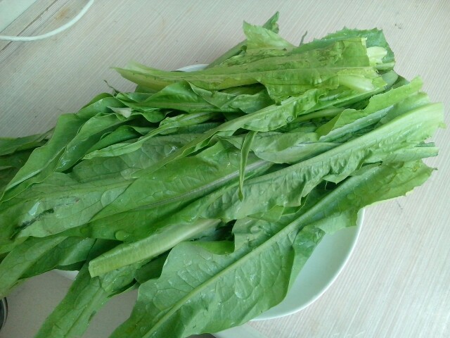 蚝油水炒油麦菜步骤1
