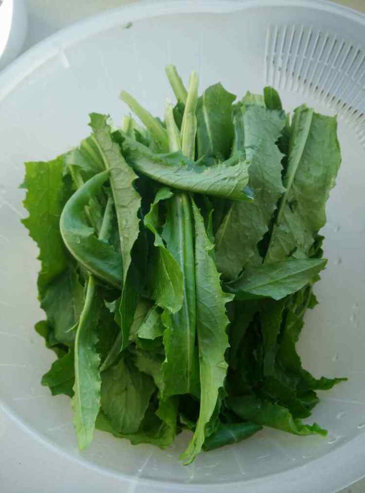 素炒油麦菜步骤1