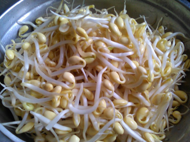 清炒黄豆芽步骤1