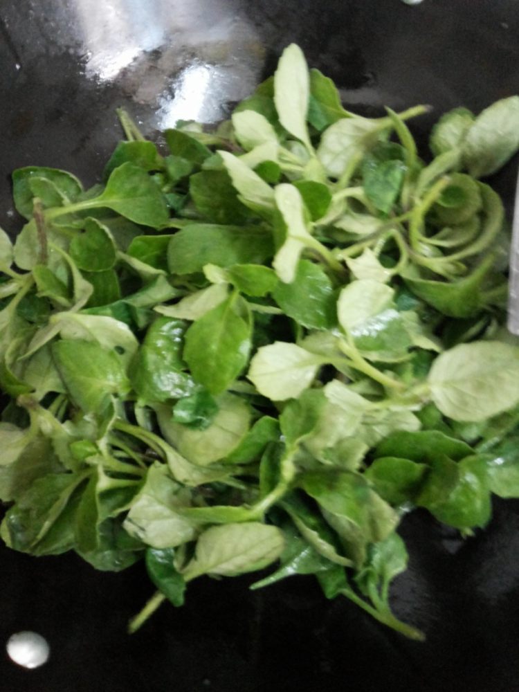 清炒白毛菜步骤2