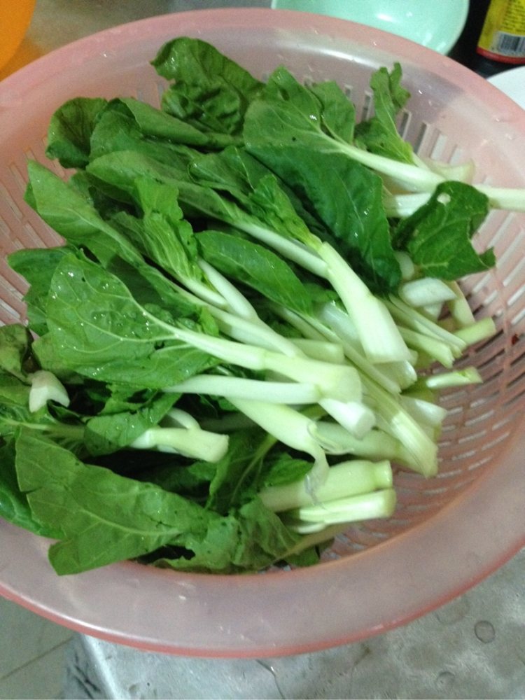 炒小白菜步骤3