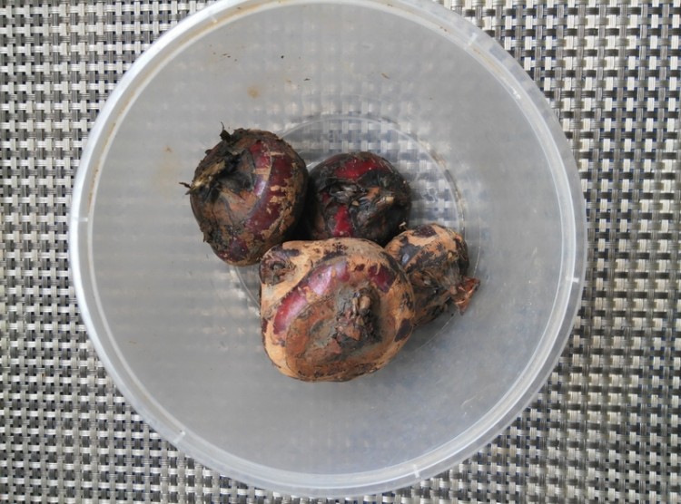 荸荠素虾仁步骤1