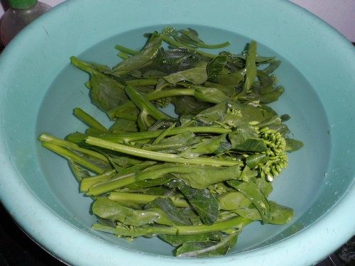 白灼芥蓝步骤1