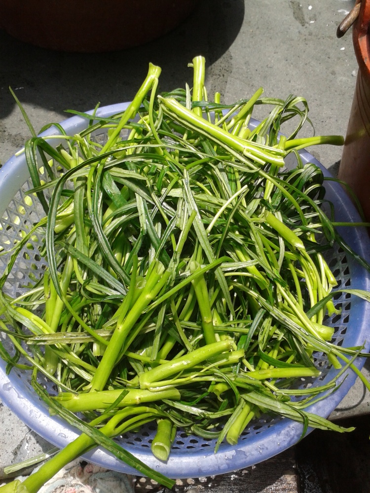 小炒有机空心菜步骤2