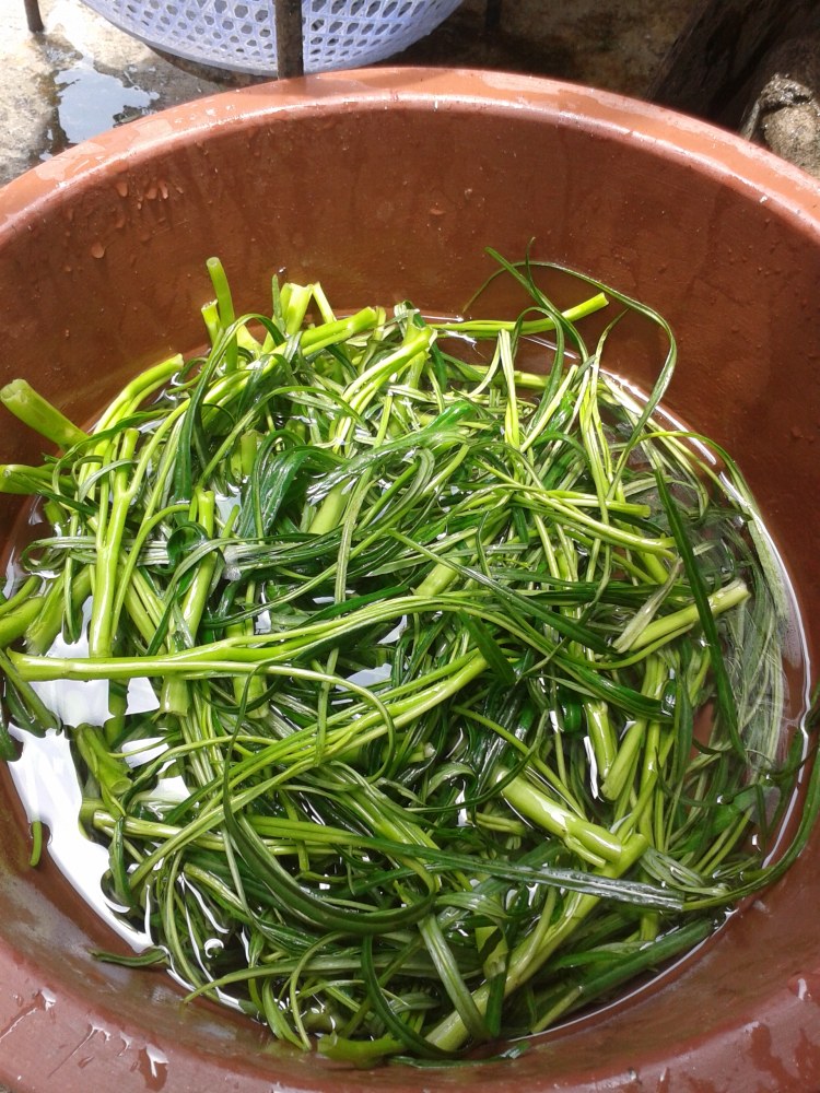 小炒有机空心菜步骤1