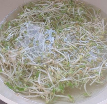 炸酱拌胡萝卜豆芽菜步骤2
