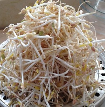 炸酱拌胡萝卜豆芽菜步骤1
