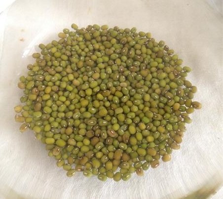 空气炸锅巧发绿豆芽步骤1