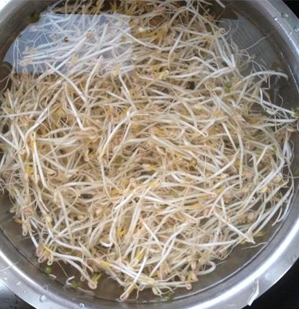 空气炸锅巧发绿豆芽步骤16